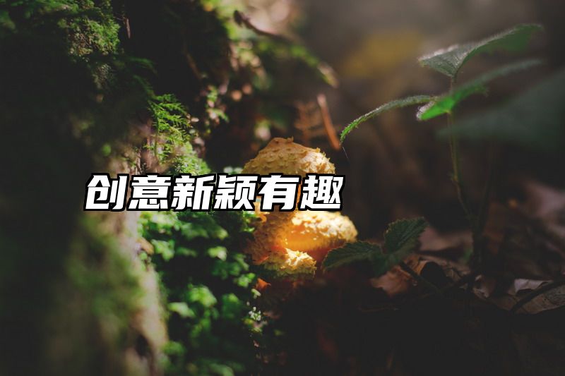 创意新颖有趣
