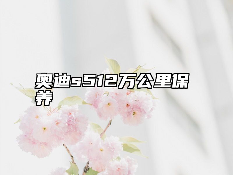 奥迪s512万公里保养
