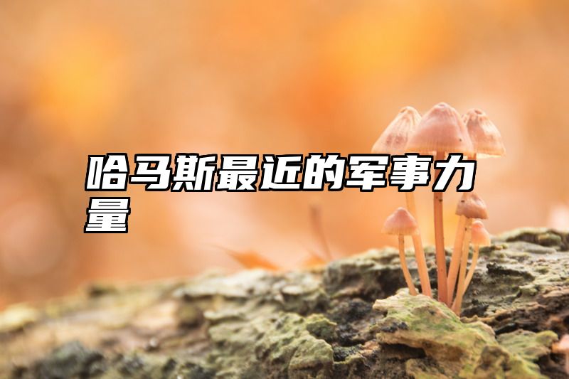 哈马斯最近的军事力量