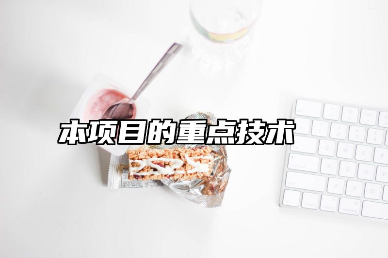 本项目的重点技术