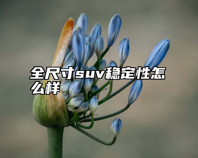 全尺寸suv稳定性怎么样