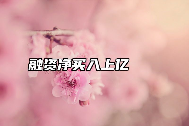 融资净买入上亿