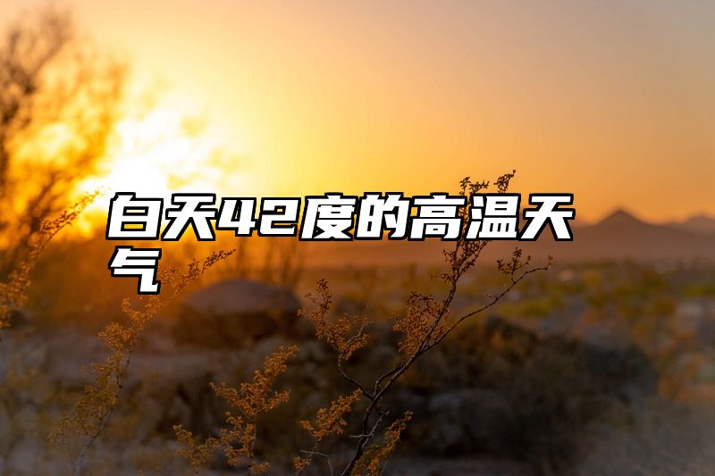 点击查看《白天42度的高温天气》全文