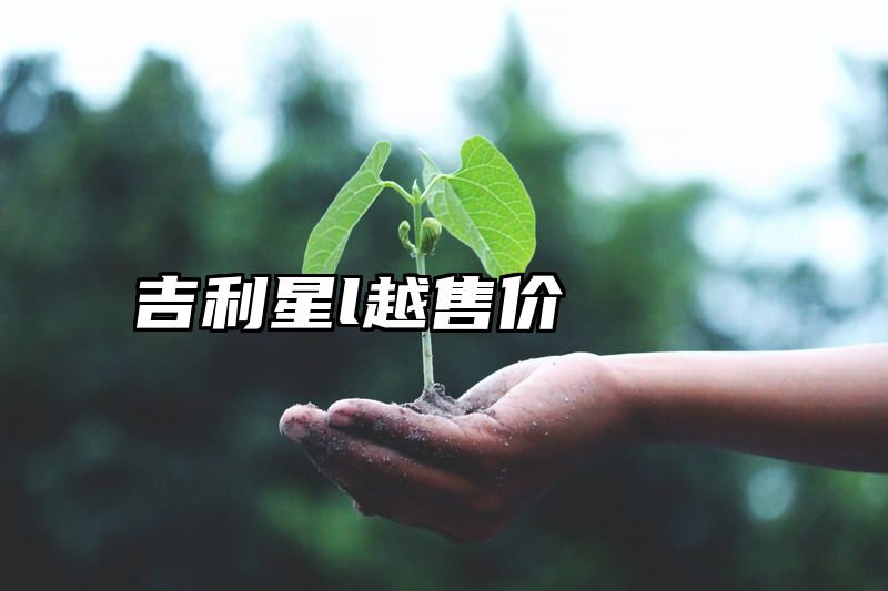 吉利星l越售价