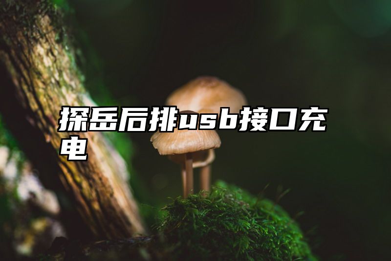 探岳后排usb接口充电