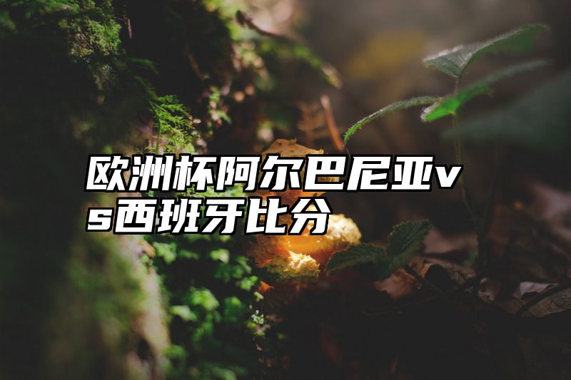 欧洲杯阿尔巴尼亚vs西班牙比分