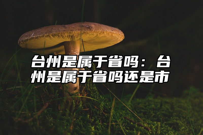 台州是属于省吗：台州是属于省吗还是市