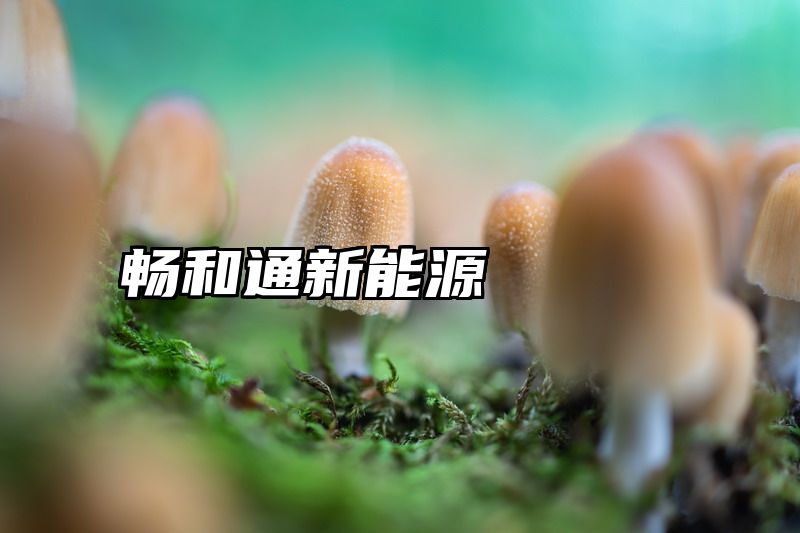畅和通新能源