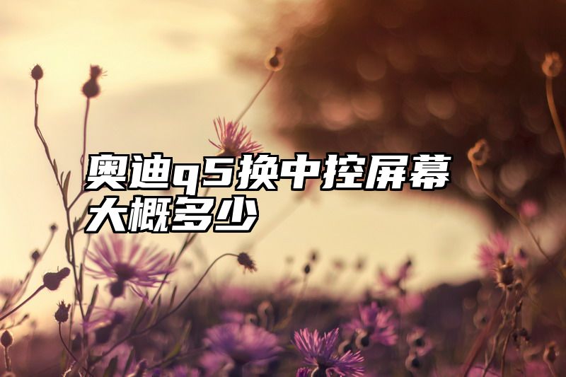 奥迪q5换中控屏幕大概多少