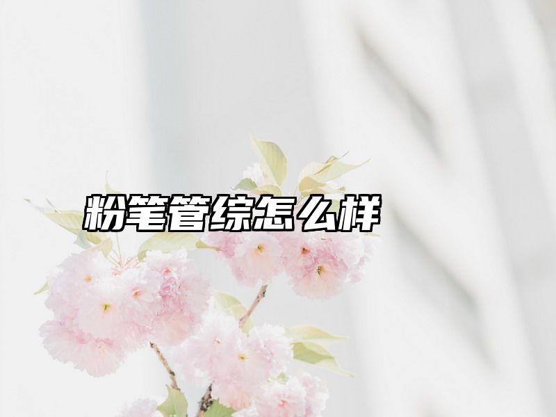点击查看《粉笔管综怎么样》全文