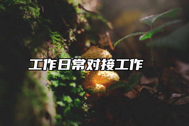 工作日常对接工作