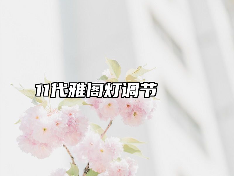 11代雅阁灯调节