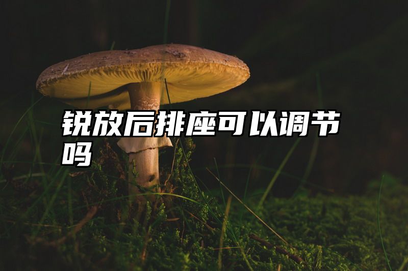 锐放后排座可以调节吗