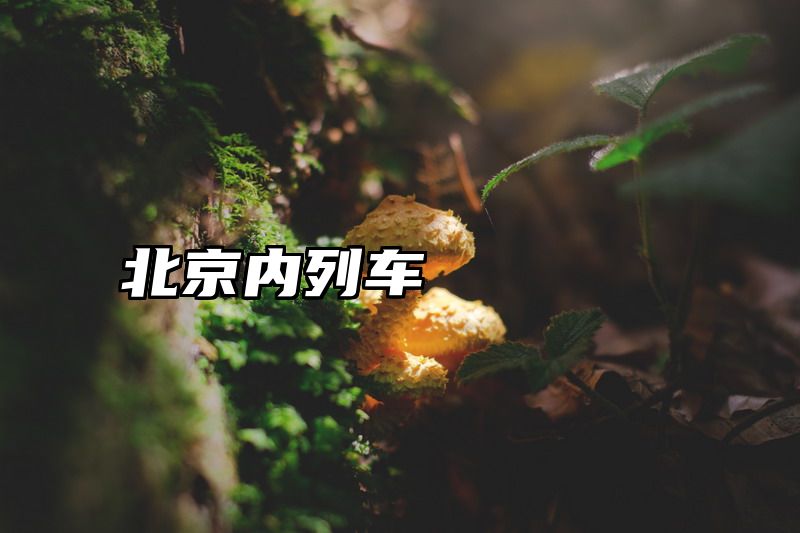 北京内列车
