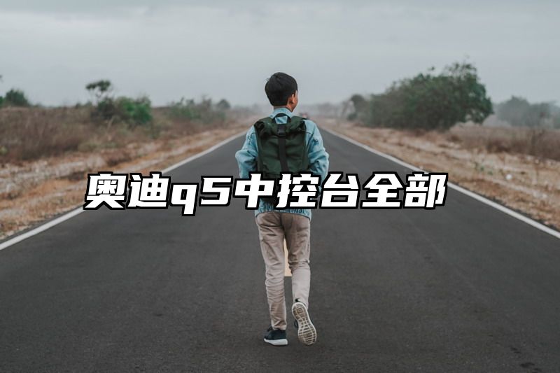 奥迪q5中控台全部