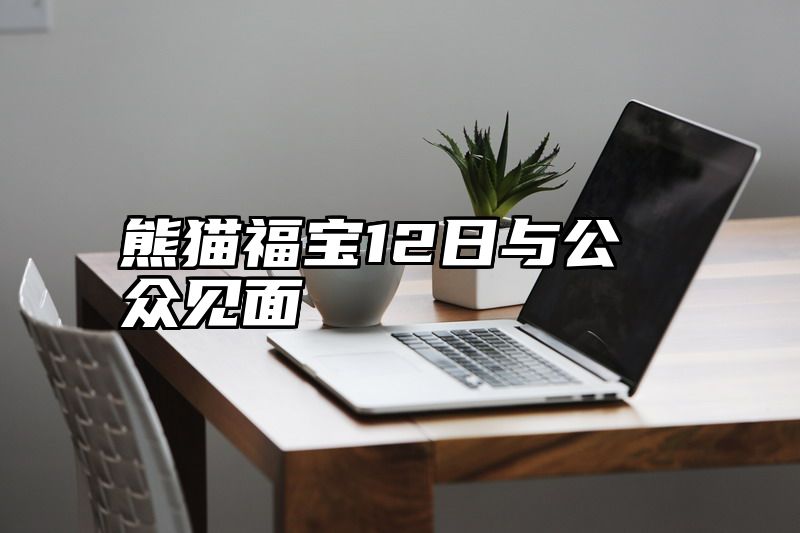熊猫福宝12日与公众见面