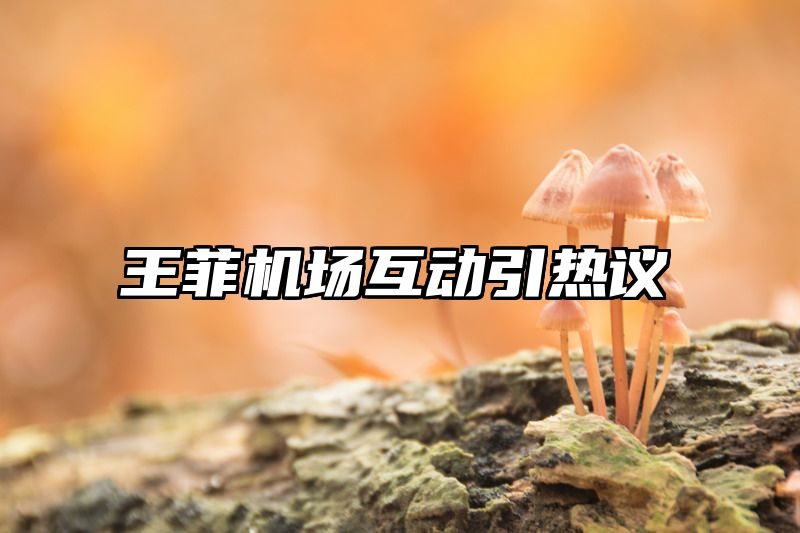 王菲机场互动引热议
