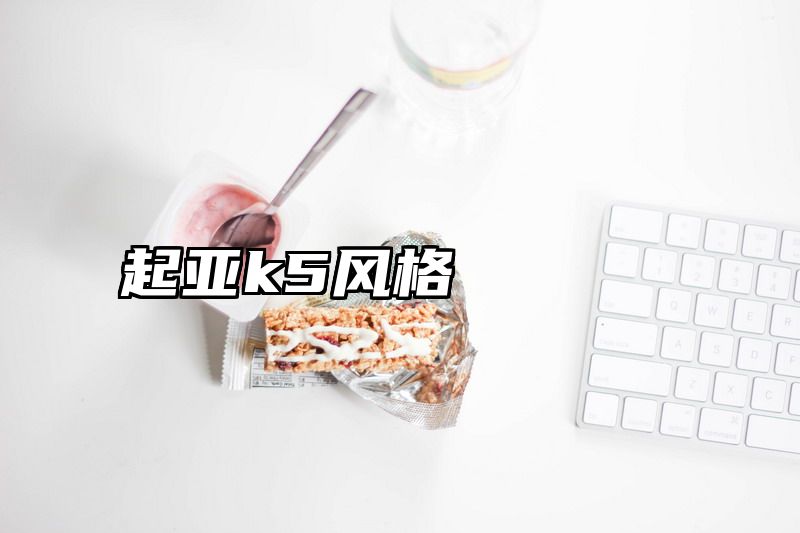 起亚k5风格