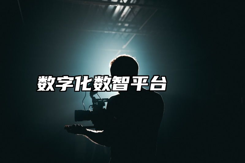 数字化数智平台