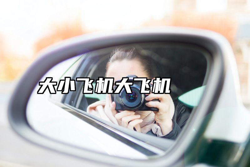 大小飞机大飞机