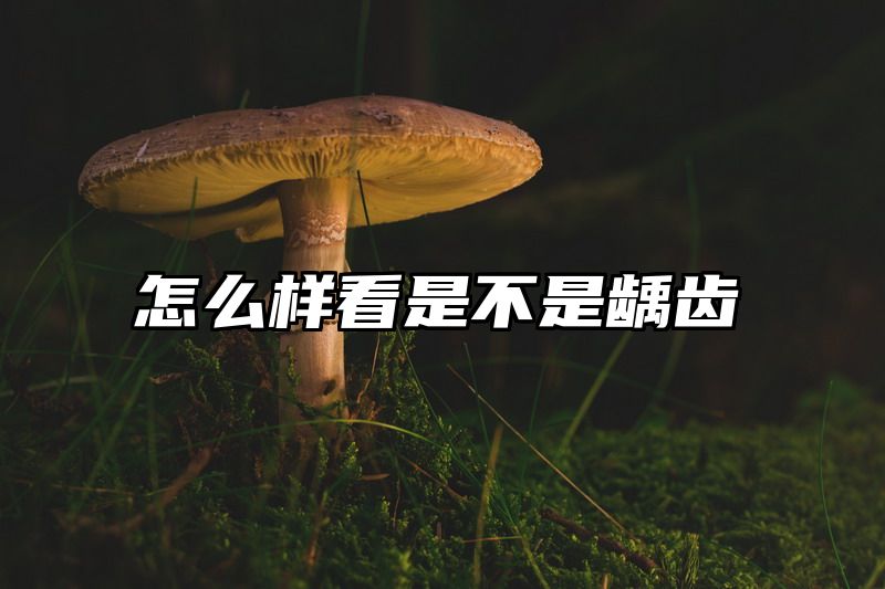 怎么样看是不是龋齿