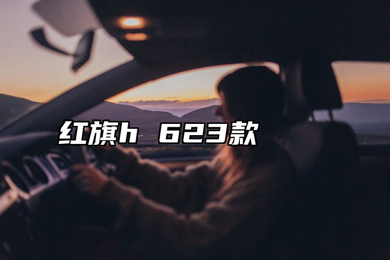 红旗h 623款