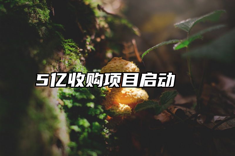 5亿收购项目启动