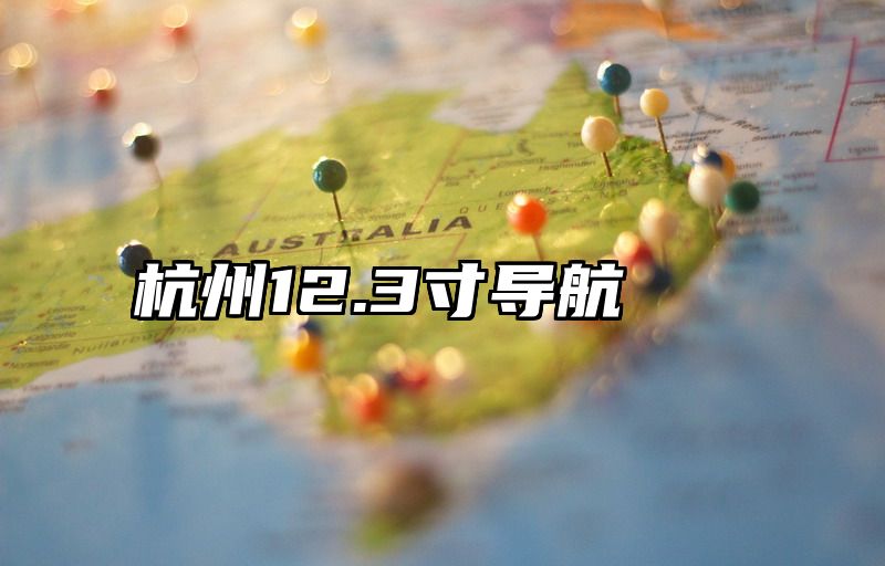 杭州12.3寸导航