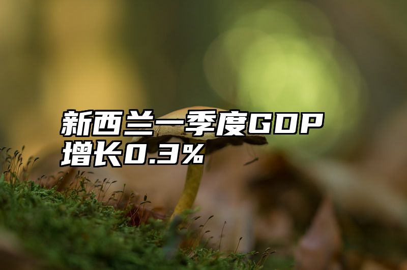 新西兰一季度GDP增长0.3%