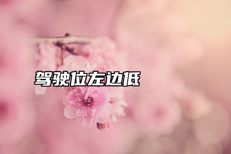 驾驶位左边低