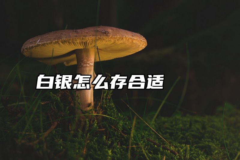 白银怎么存合适