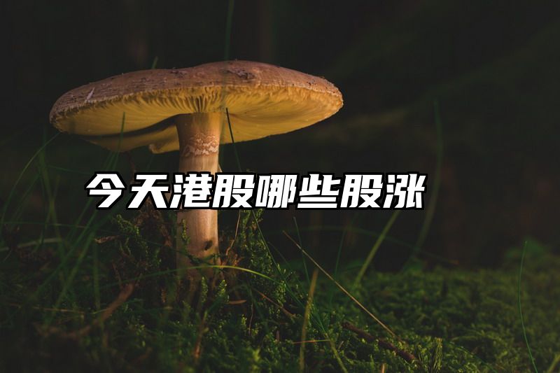 今天港股哪些股涨