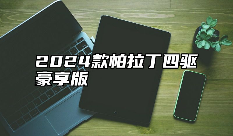 2024款帕拉丁四驱豪享版