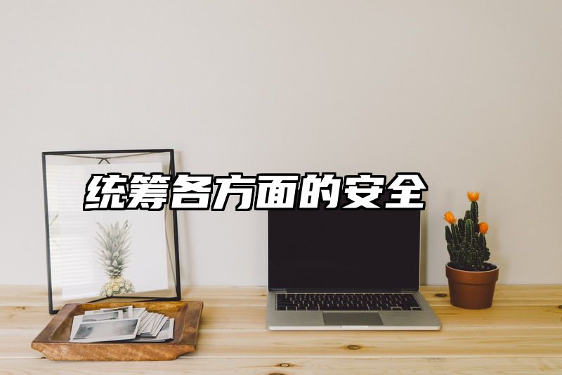 统筹各方面的安全