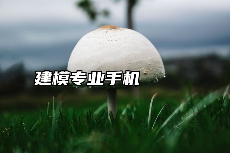 建模专业手机