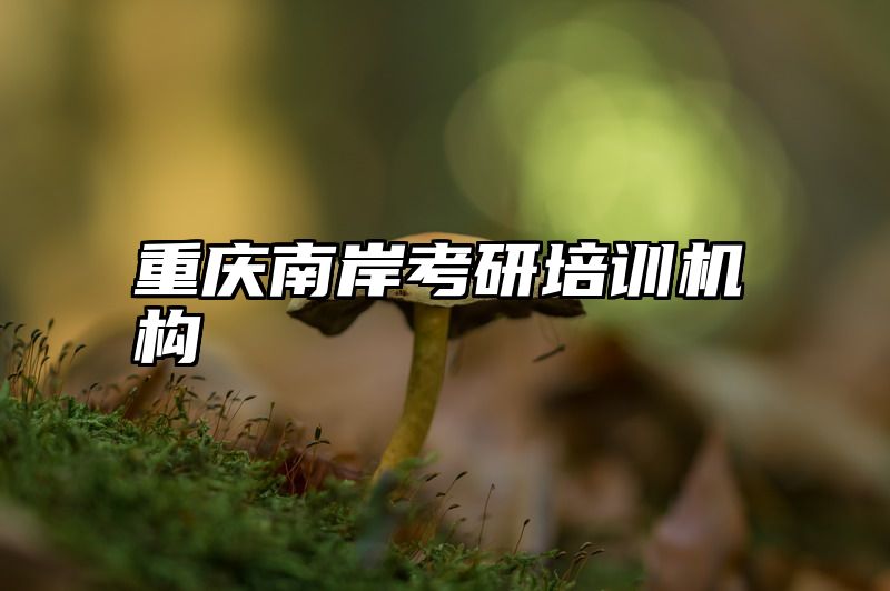 重庆南岸考研培训机构