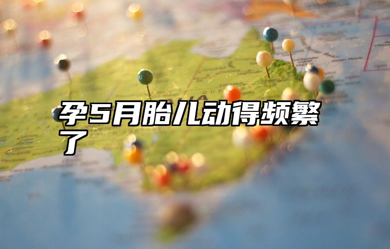 孕5月胎儿动得频繁了