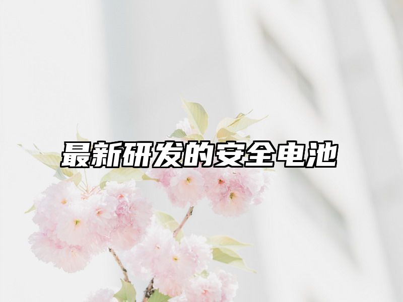 最新研发的安全电池