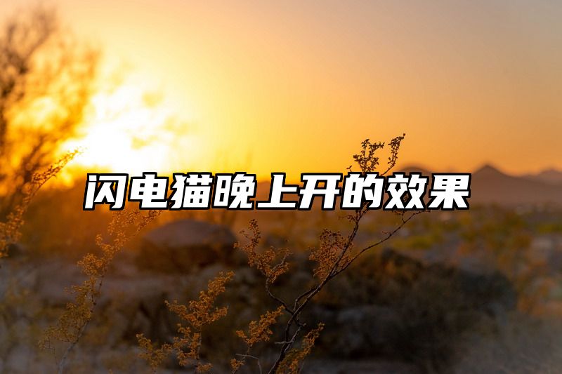闪电猫晚上开的效果