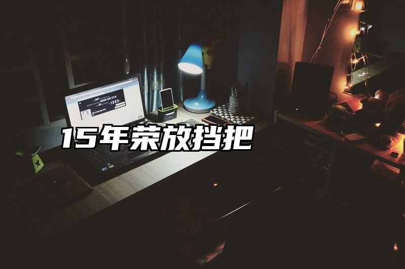 15年荣放挡把