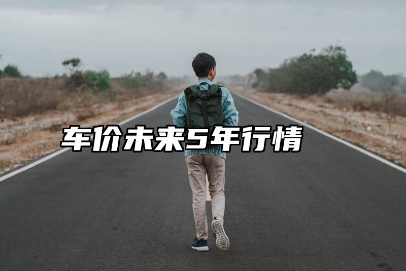 车价未来5年行情