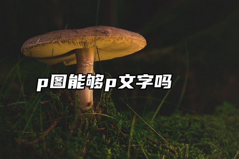 p图能够p文字吗