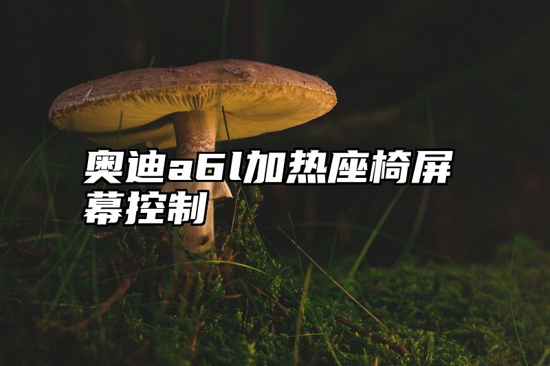 奥迪a6l加热座椅屏幕控制