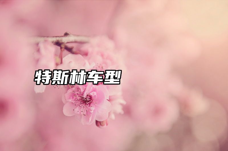 特斯林车型