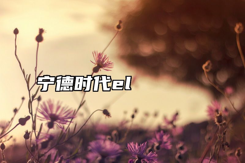 宁德时代el