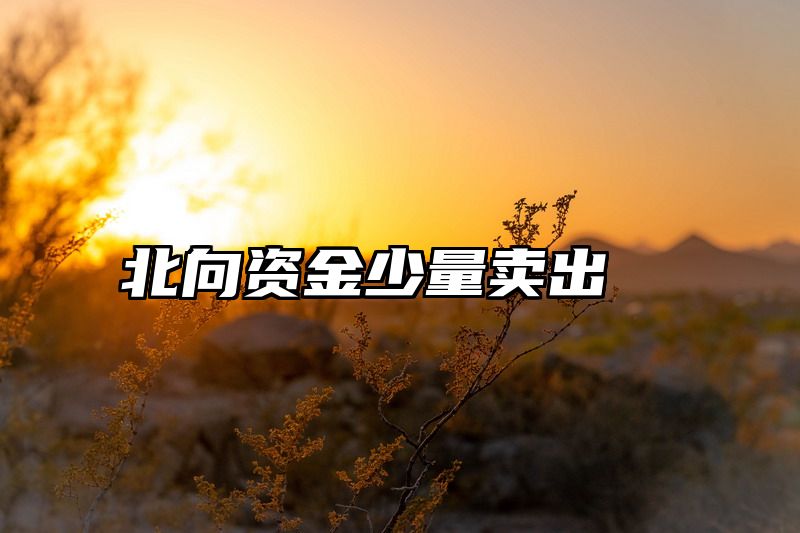 北向资金少量卖出