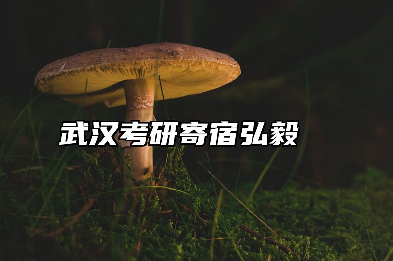 武汉考研寄宿弘毅