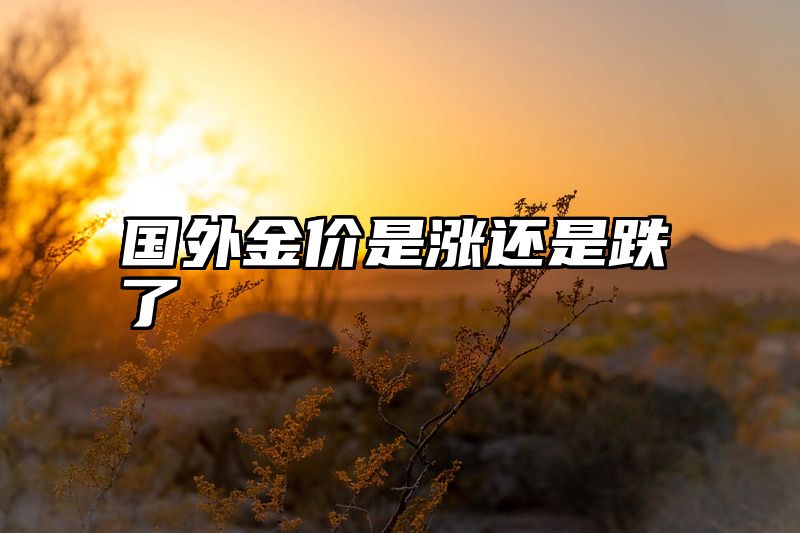 国外金价是涨还是跌了