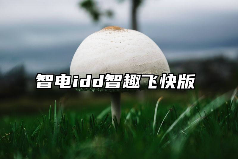 智电idd智趣飞快版