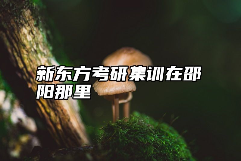 点击查看《新东方考研集训在邵阳那里》全文